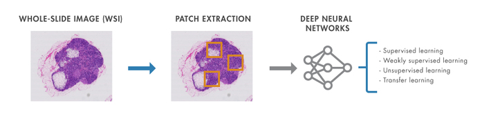 data-science-central-blog-wsi-patch-nn-diagram-1.jpg