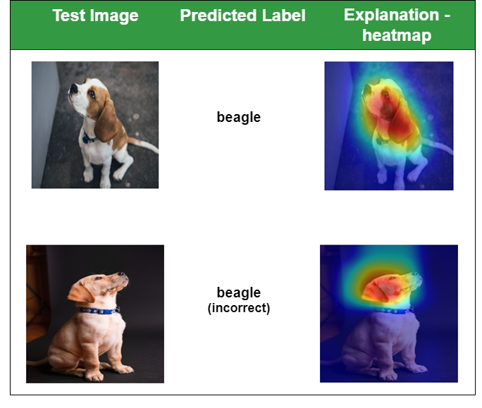 Classify dog breed and visualize heatmap of classification