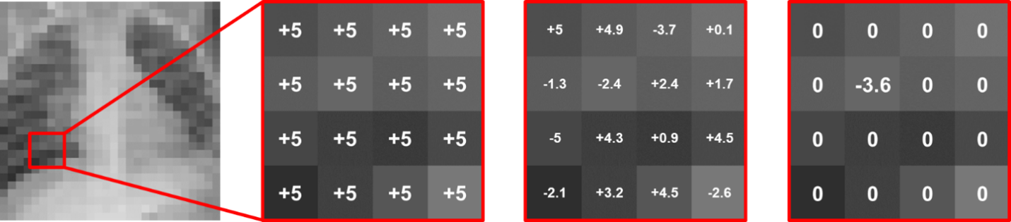 Examples of input perturbations of a pixel of a lung image.