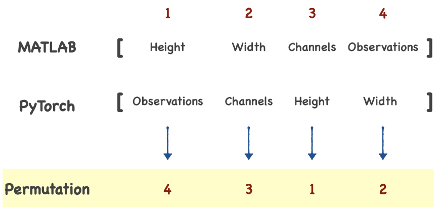 Permutation of input image data from MATLAB to PyTorch dimension orderiing