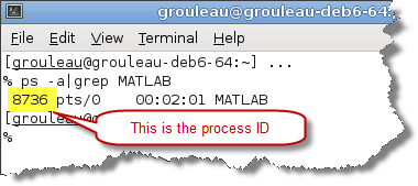 Debug Custom C/C++ Code - MATLAB & Simulink