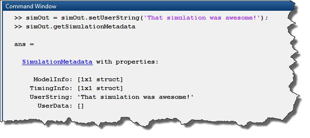 Model Metadata setUserString