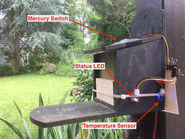 Squirrel Cafe System