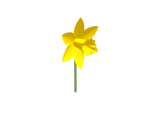 daffodil_2.png