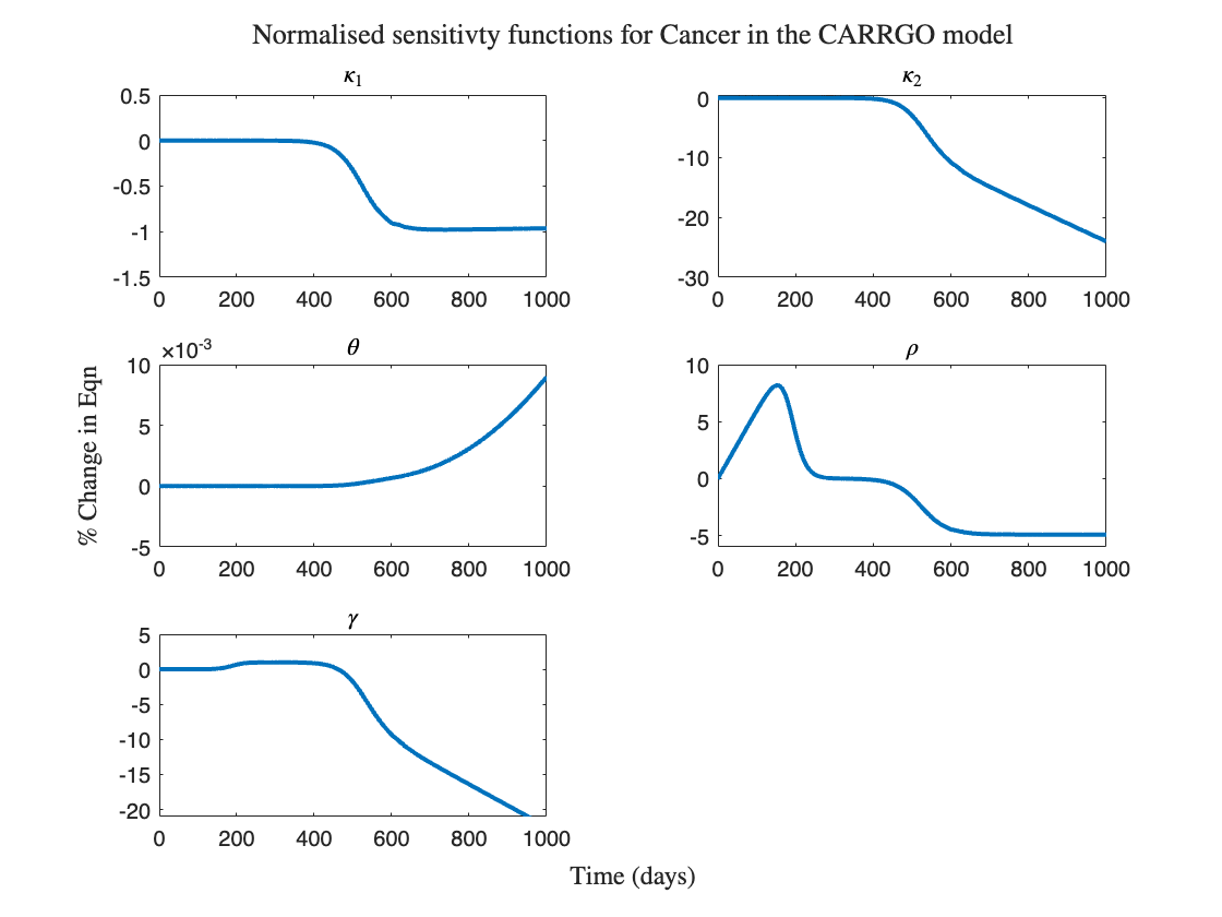 Sensitivity analysis of CARRGO model